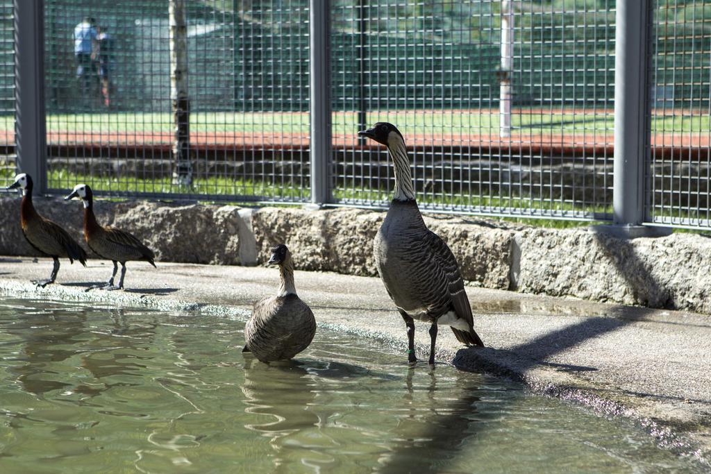 Quinta Do Farejal Villa Vieira do Minho Dış mekan fotoğraf